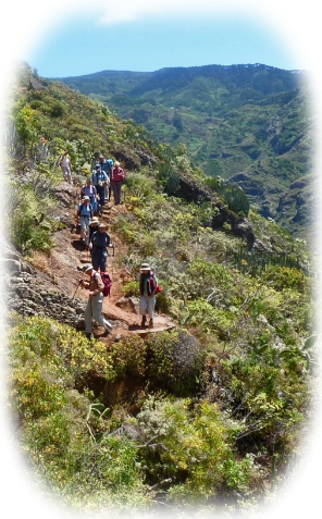 hiking Tenerife in Teno